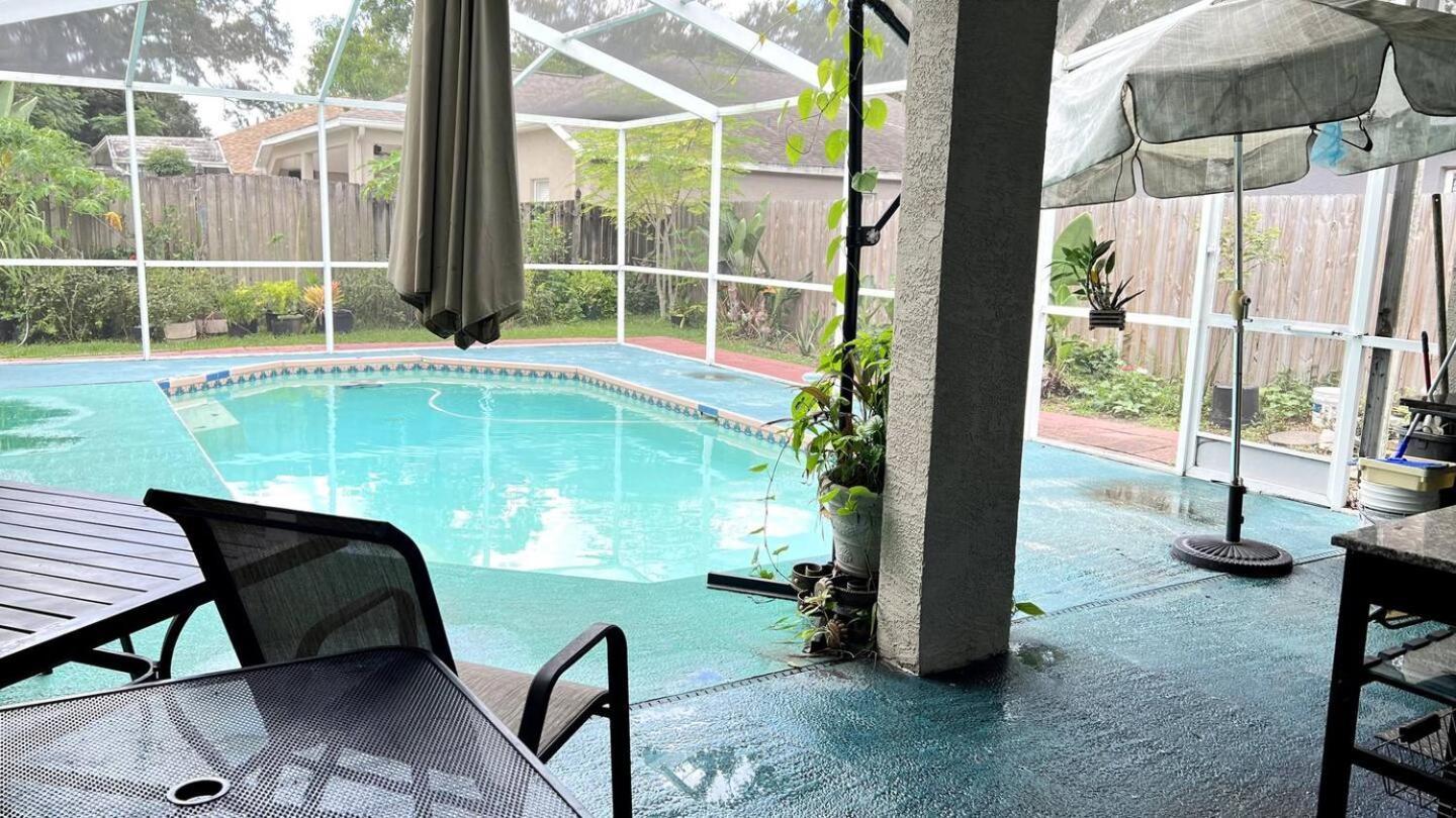 Room In Citrus Park And Carollwood, Close To The Airport & Downtown Tampa Eksteriør billede