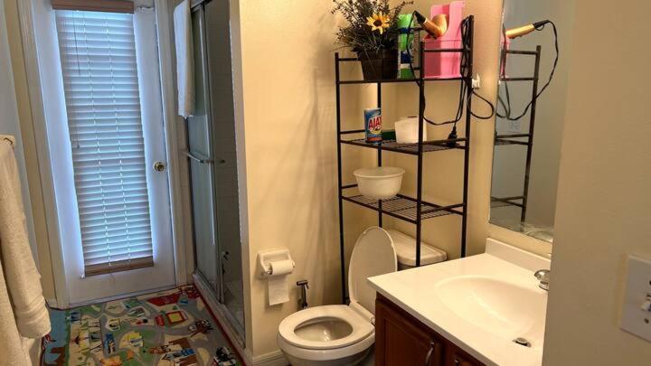 Room In Citrus Park And Carollwood, Close To The Airport & Downtown Tampa Eksteriør billede